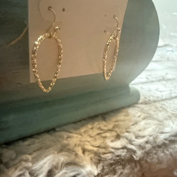 🌸4 for $10 NWT Hannah Gold-Toned Textured Oval Earrings - Picture 2 of 5